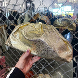 Azure Coast Gold Clutch