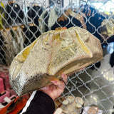 Azure Coast Gold Clutch