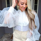 Refined Essence Sheer Blouse