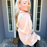 Champagne Dreams Satin Blouse